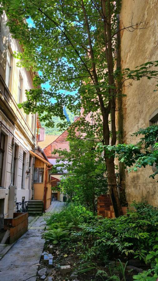 Zeiss House Apartment Брашов Екстериор снимка